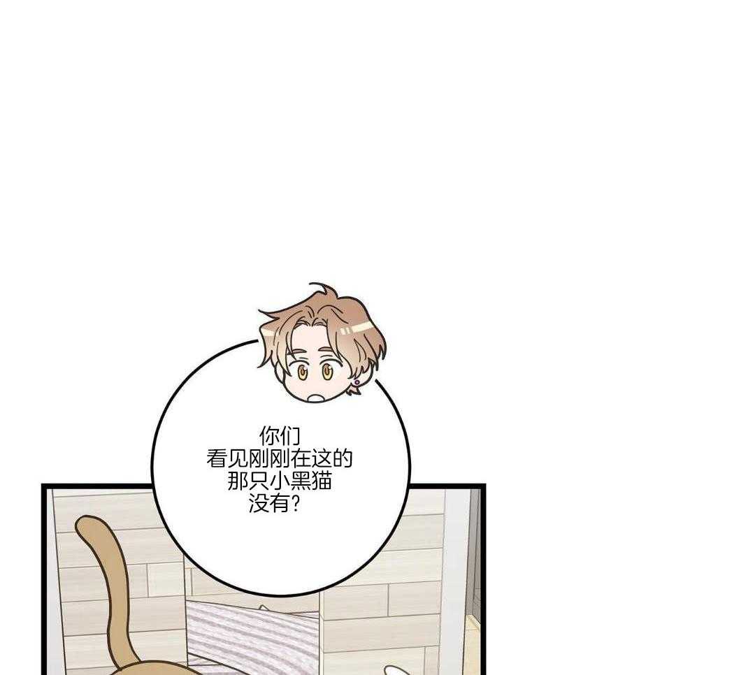 《我唯一的猫猫》漫画最新章节第33话免费下拉式在线观看章节第【15】张图片