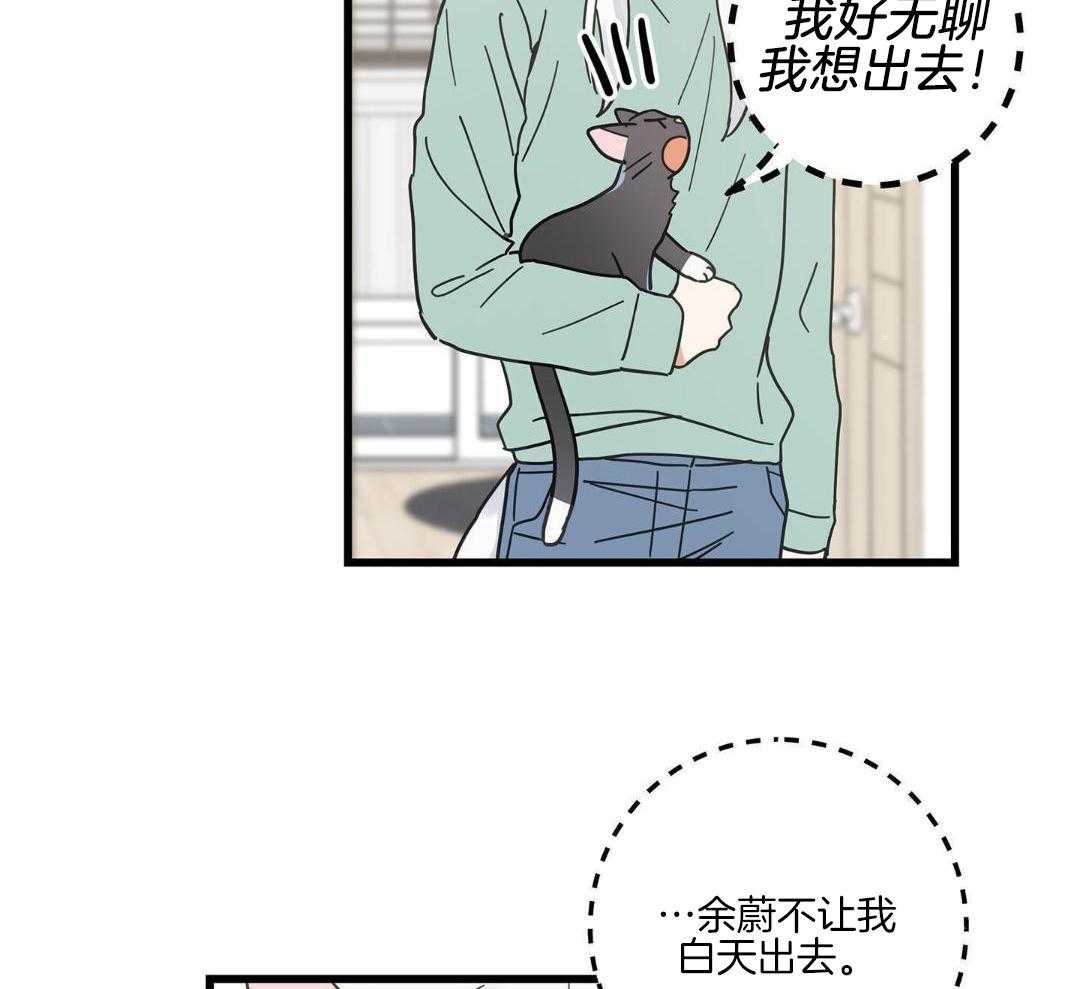 《我唯一的猫猫》漫画最新章节第46话免费下拉式在线观看章节第【8】张图片