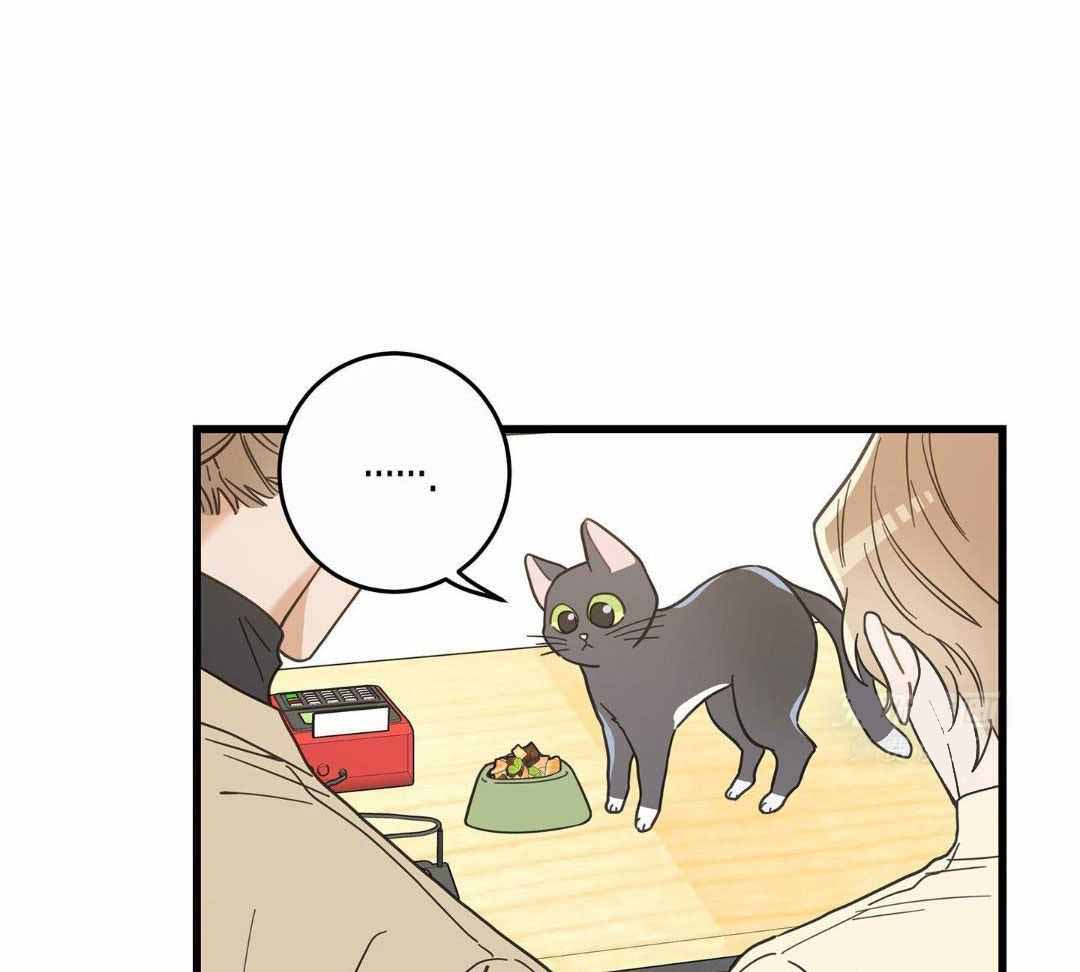 《我唯一的猫猫》漫画最新章节第35话免费下拉式在线观看章节第【17】张图片