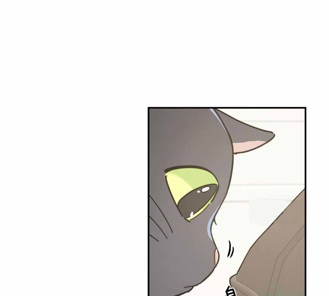 《我唯一的猫猫》漫画最新章节第47话免费下拉式在线观看章节第【53】张图片