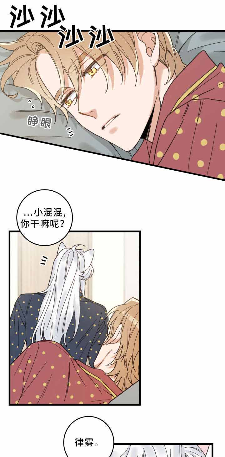 《我唯一的猫猫》漫画最新章节第31话免费下拉式在线观看章节第【2】张图片