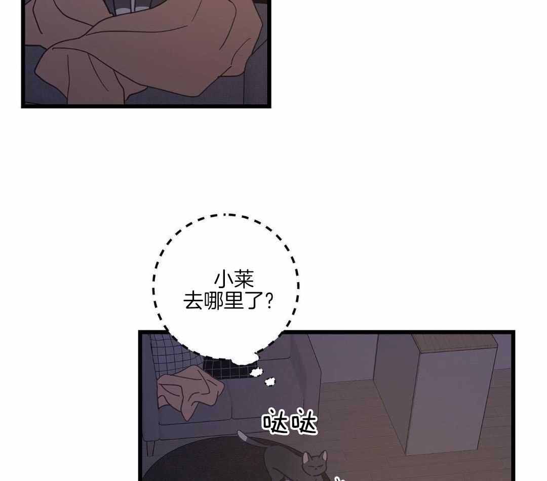 《我唯一的猫猫》漫画最新章节第41话免费下拉式在线观看章节第【23】张图片