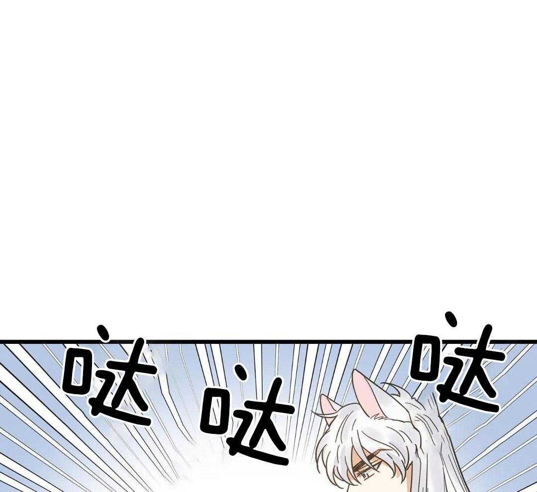 《我唯一的猫猫》漫画最新章节第48话免费下拉式在线观看章节第【41】张图片