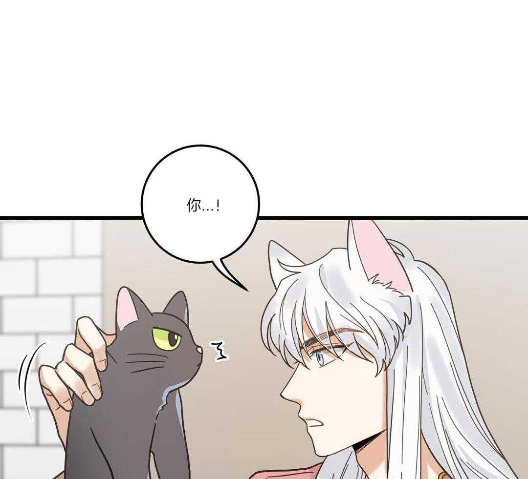 《我唯一的猫猫》漫画最新章节第39话免费下拉式在线观看章节第【22】张图片