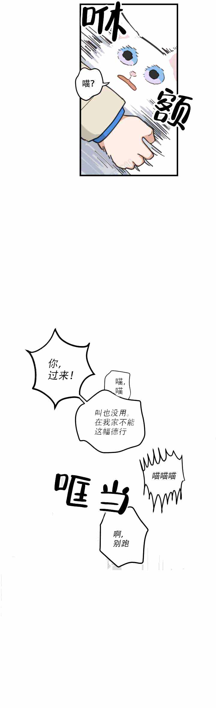 《我唯一的猫猫》漫画最新章节第3话免费下拉式在线观看章节第【13】张图片