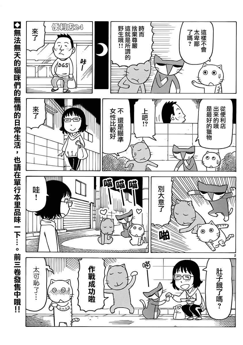 《我家的街猫》漫画最新章节第269话免费下拉式在线观看章节第【2】张图片