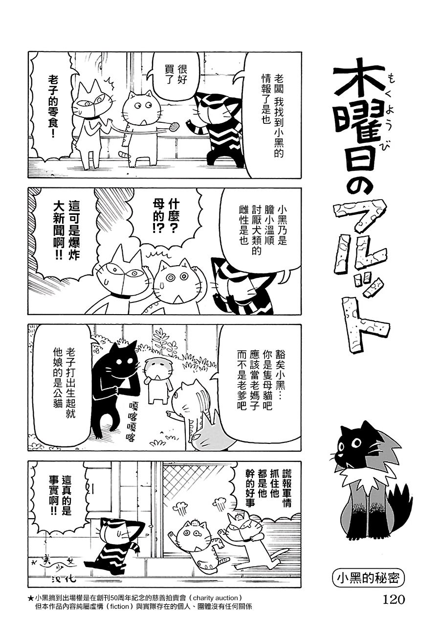 《我家的街猫》漫画最新章节第523话免费下拉式在线观看章节第【1】张图片