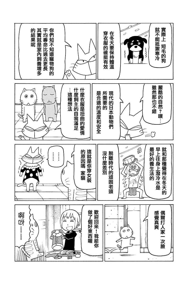 《我家的街猫》漫画最新章节第390话免费下拉式在线观看章节第【2】张图片