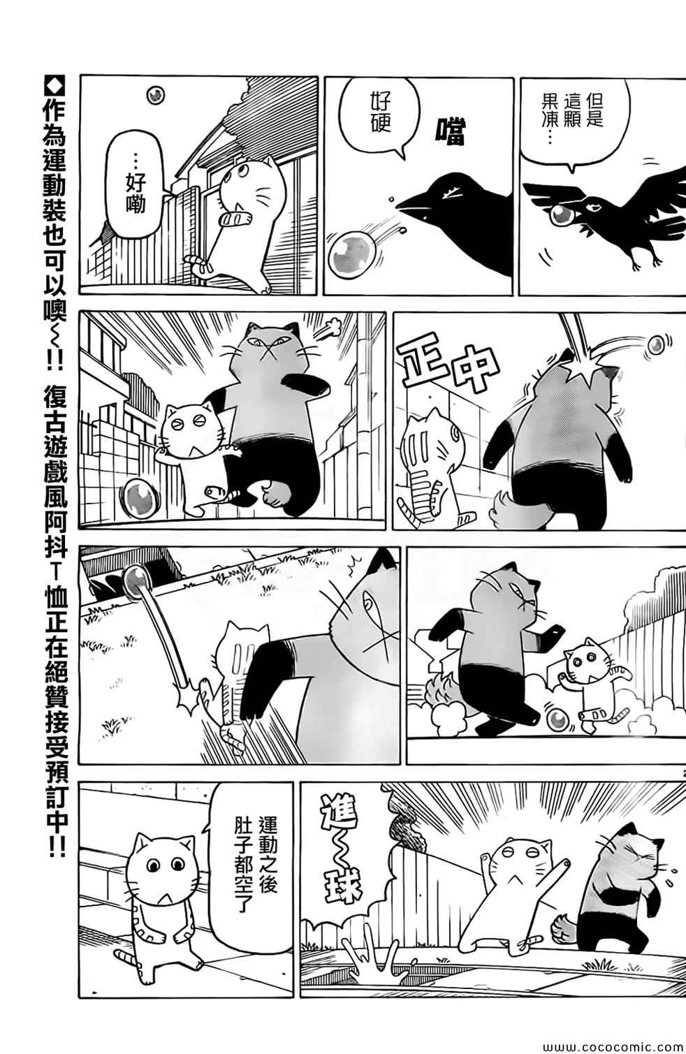 《我家的街猫》漫画最新章节第253话免费下拉式在线观看章节第【2】张图片