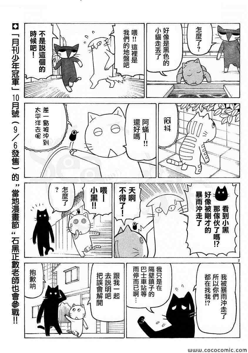 《我家的街猫》漫画最新章节弗罗多 217-239别册免费下拉式在线观看章节第【35】张图片