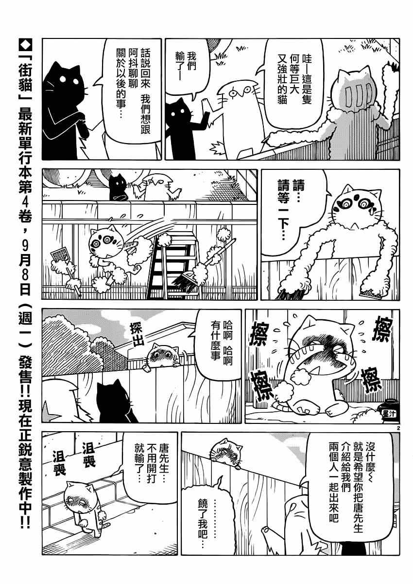 《我家的街猫》漫画最新章节第278话免费下拉式在线观看章节第【2】张图片