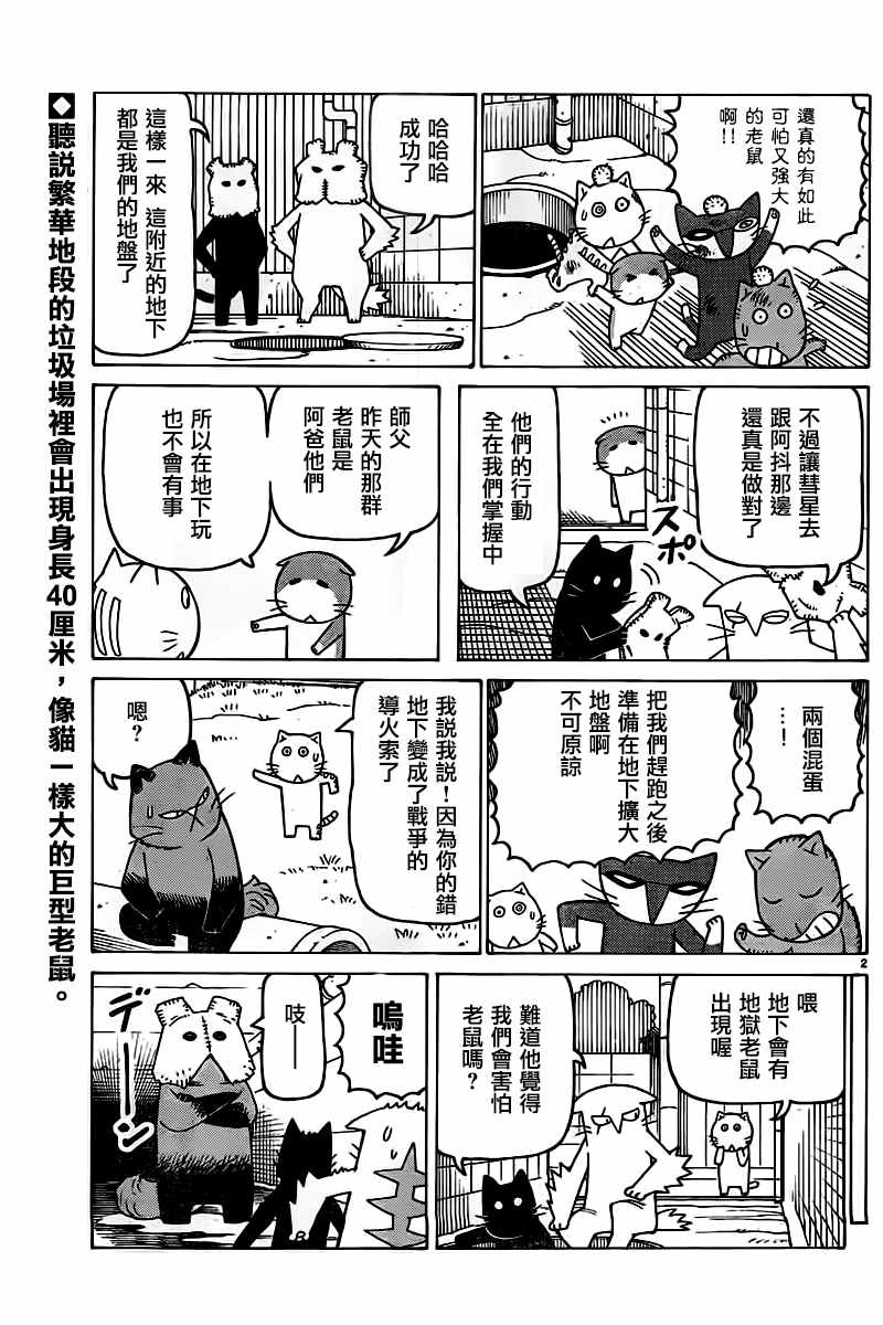 《我家的街猫》漫画最新章节第362话免费下拉式在线观看章节第【2】张图片