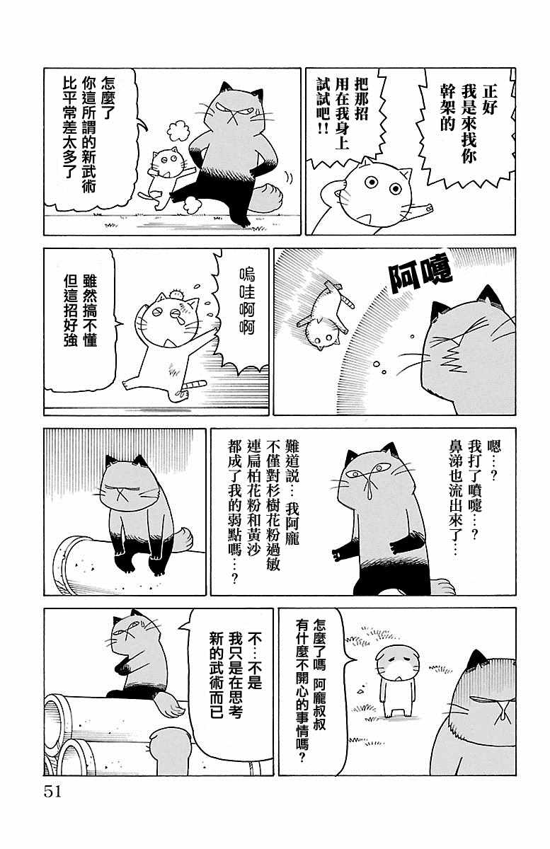 《我家的街猫》漫画最新章节第414话免费下拉式在线观看章节第【2】张图片