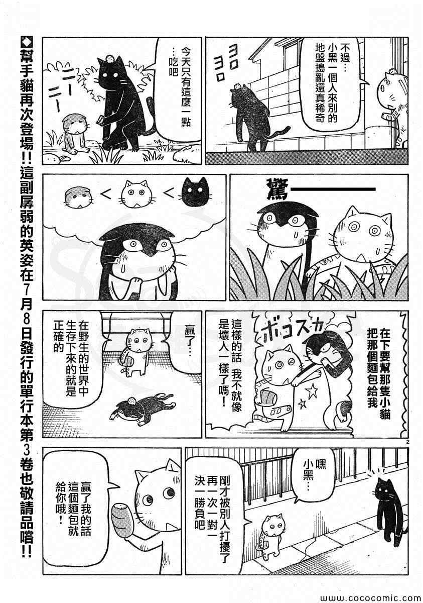 《我家的街猫》漫画最新章节弗罗多 217-239别册免费下拉式在线观看章节第【14】张图片