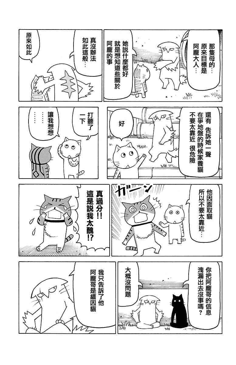 《我家的街猫》漫画最新章节第379话免费下拉式在线观看章节第【2】张图片