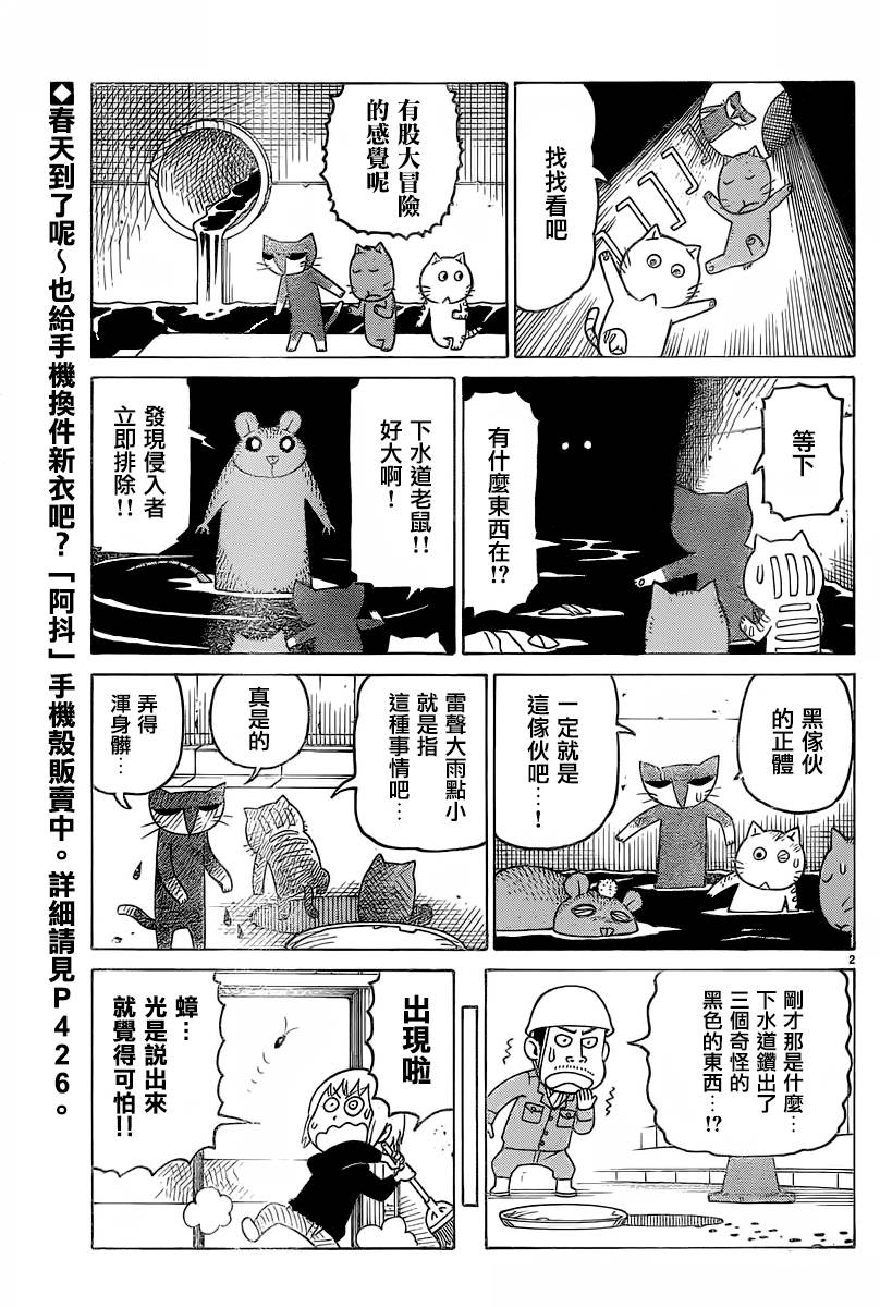 《我家的街猫》漫画最新章节第311话免费下拉式在线观看章节第【2】张图片