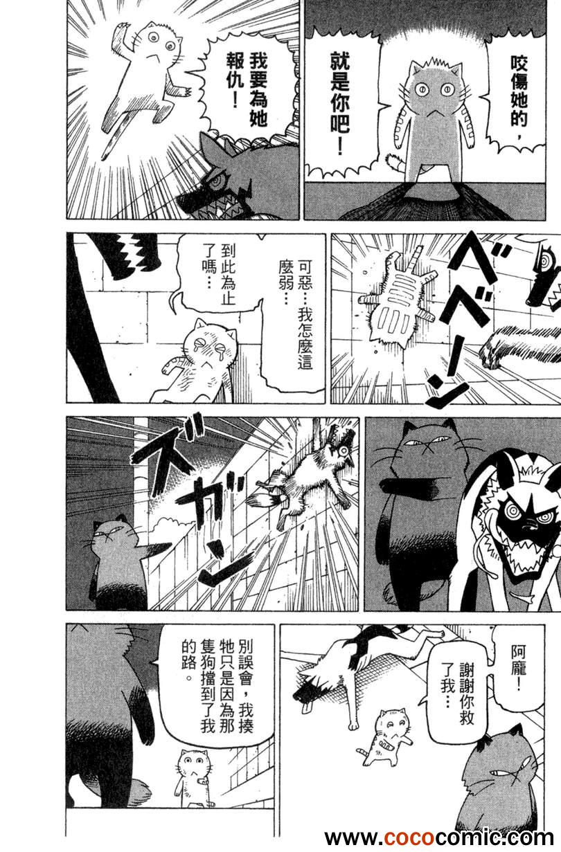 《我家的街猫》漫画最新章节第2卷免费下拉式在线观看章节第【80】张图片