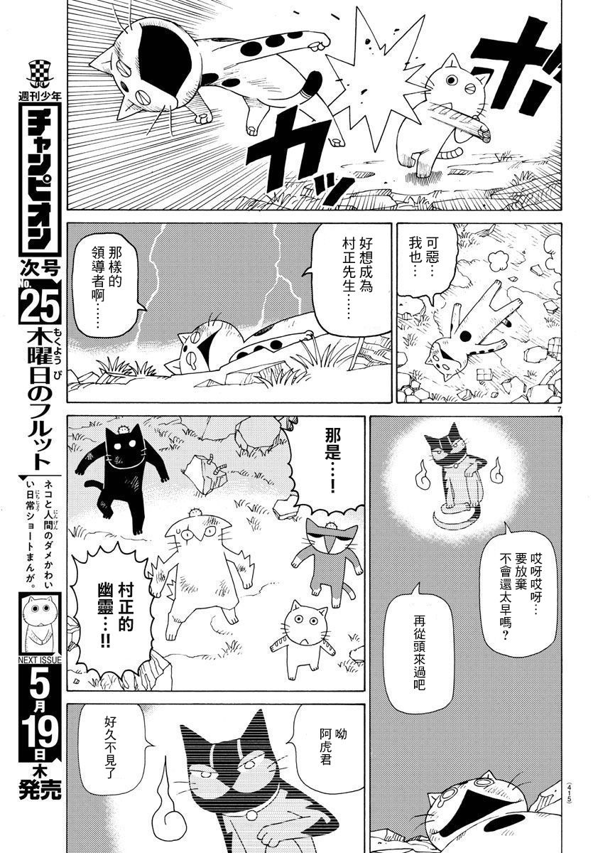 《我家的街猫》漫画最新章节第656话免费下拉式在线观看章节第【7】张图片