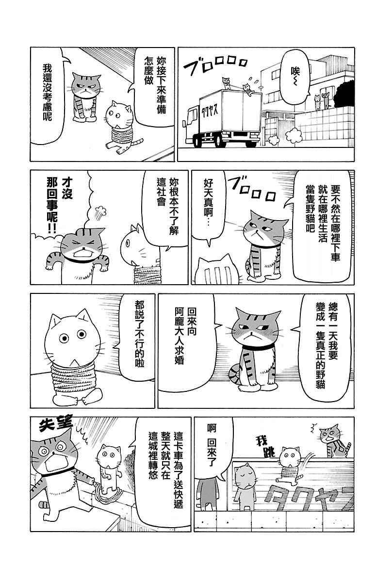 《我家的街猫》漫画最新章节第384话免费下拉式在线观看章节第【2】张图片