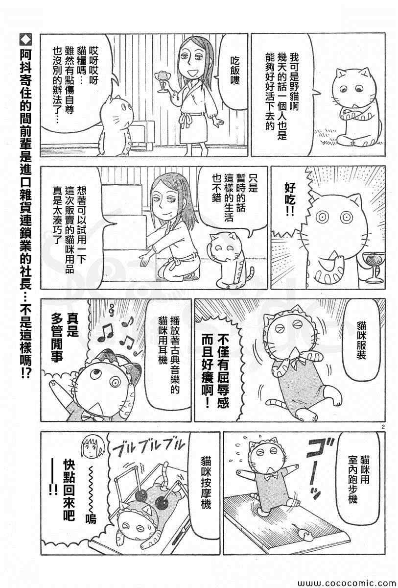 《我家的街猫》漫画最新章节弗罗多 217-239别册免费下拉式在线观看章节第【6】张图片