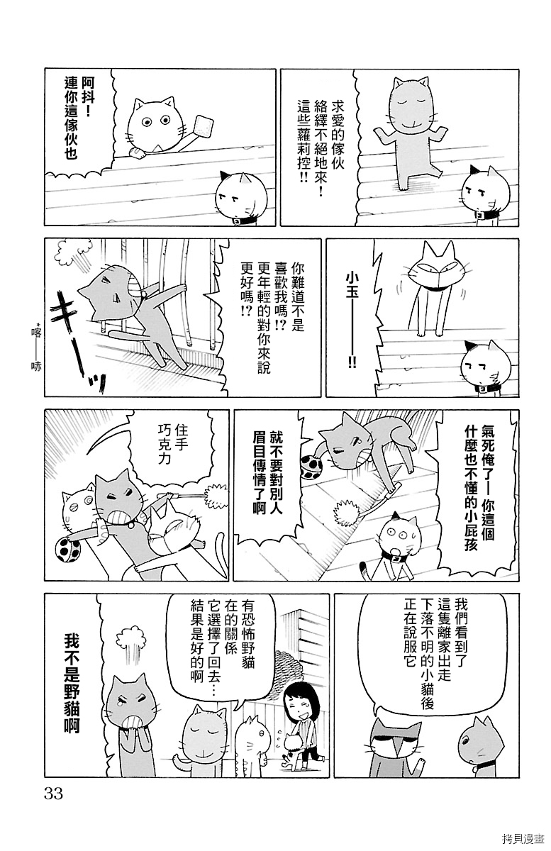 《我家的街猫》漫画最新章节第468话免费下拉式在线观看章节第【2】张图片