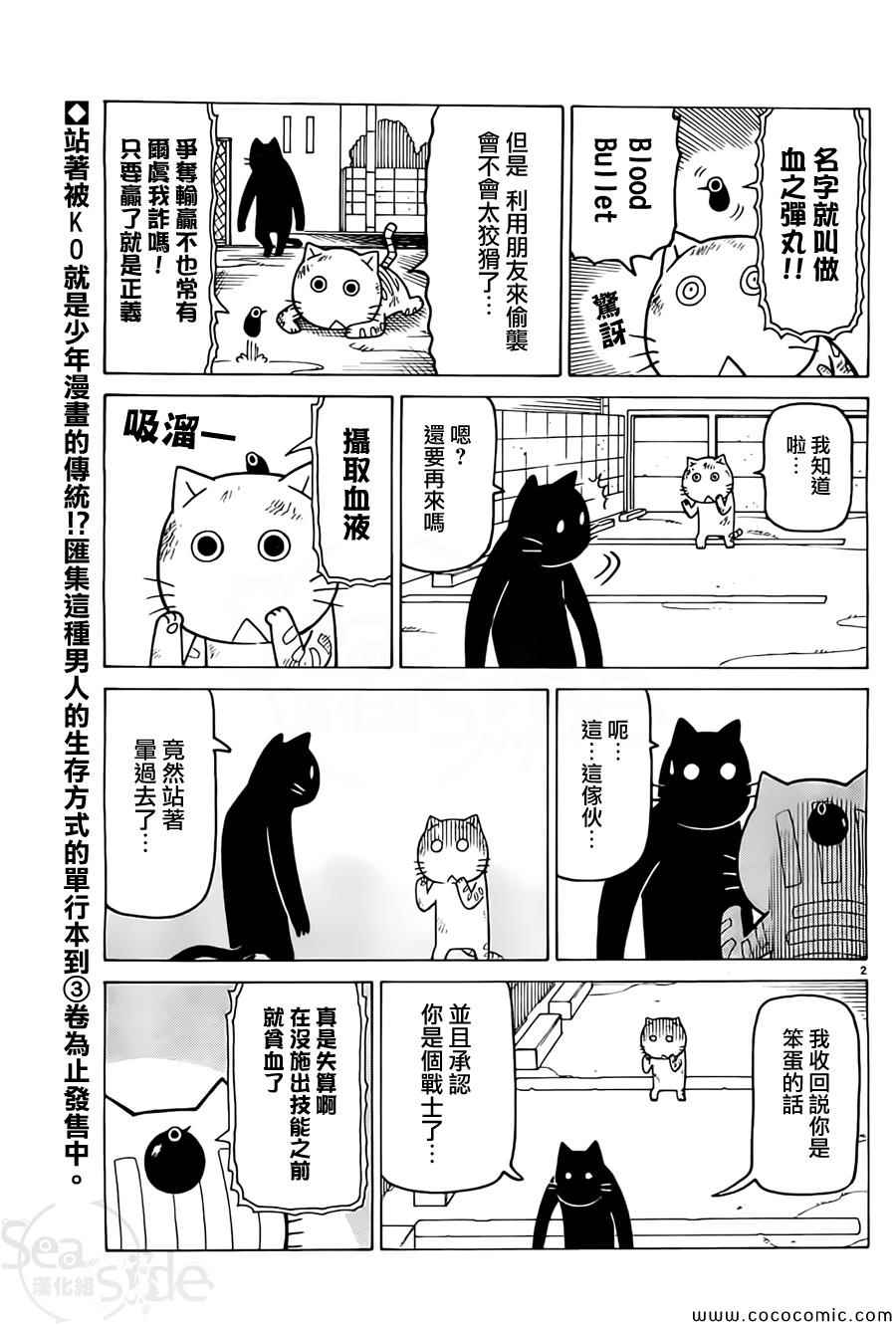 《我家的街猫》漫画最新章节第259话免费下拉式在线观看章节第【2】张图片