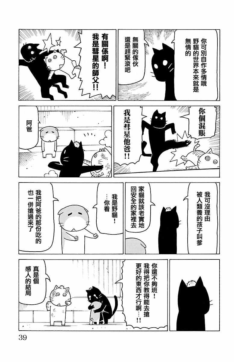 《我家的街猫》漫画最新章节第407话免费下拉式在线观看章节第【2】张图片