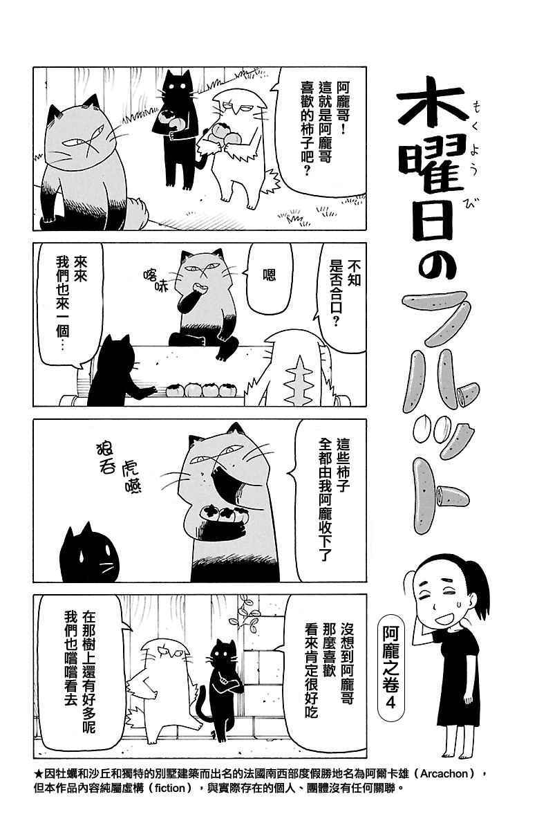 《我家的街猫》漫画最新章节第385话免费下拉式在线观看章节第【1】张图片