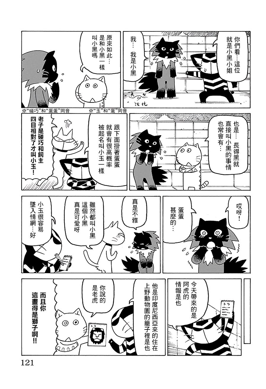 《我家的街猫》漫画最新章节第523话免费下拉式在线观看章节第【2】张图片