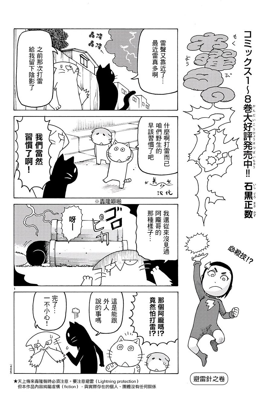 《我家的街猫》漫画最新章节第576话免费下拉式在线观看章节第【1】张图片