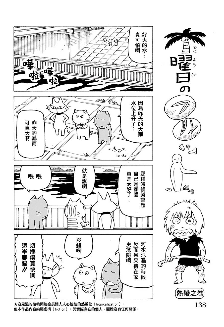 《我家的街猫》漫画最新章节第515话免费下拉式在线观看章节第【1】张图片