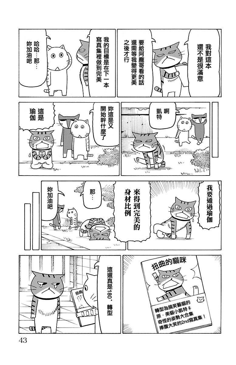 《我家的街猫》漫画最新章节第410话免费下拉式在线观看章节第【2】张图片