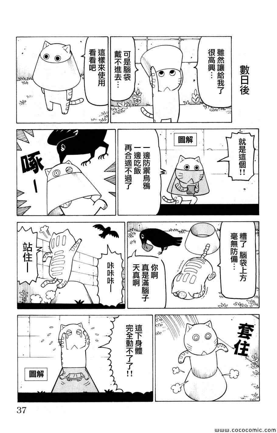 《我家的街猫》漫画最新章节第3卷免费下拉式在线观看章节第【36】张图片