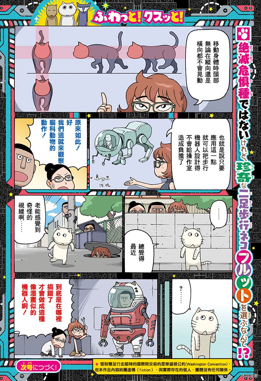 《我家的街猫》漫画最新章节第611话免费下拉式在线观看章节第【2】张图片