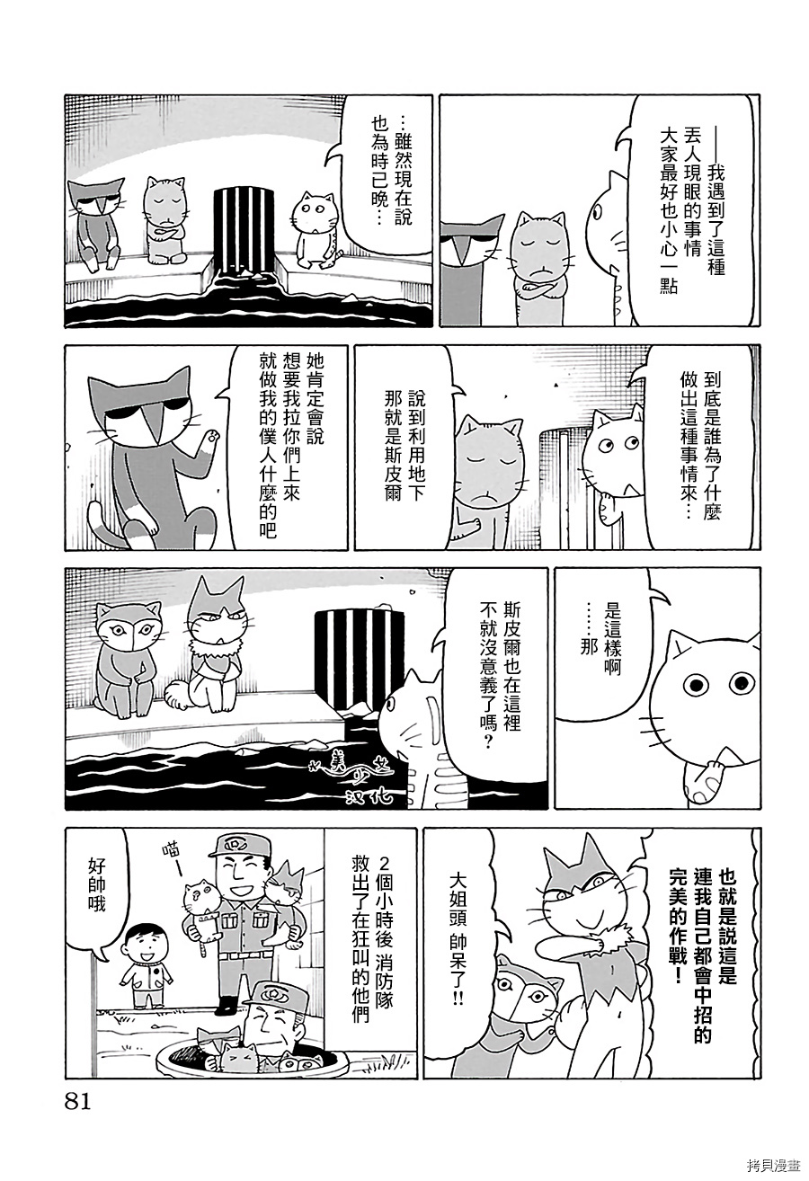 《我家的街猫》漫画最新章节第488话免费下拉式在线观看章节第【2】张图片