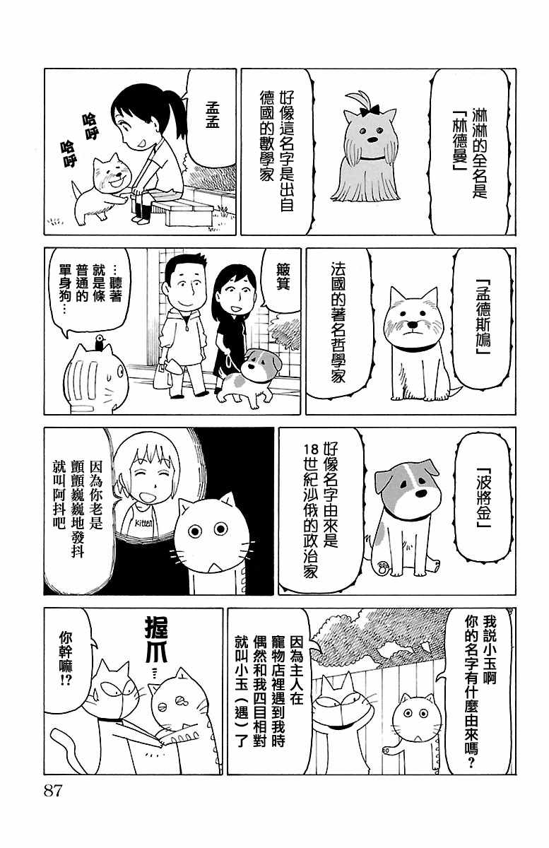 《我家的街猫》漫画最新章节第366话免费下拉式在线观看章节第【2】张图片