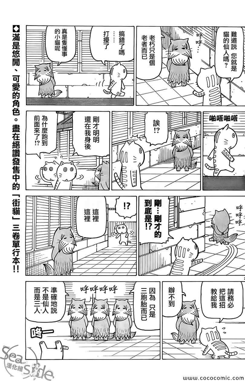 《我家的街猫》漫画最新章节第262话免费下拉式在线观看章节第【2】张图片