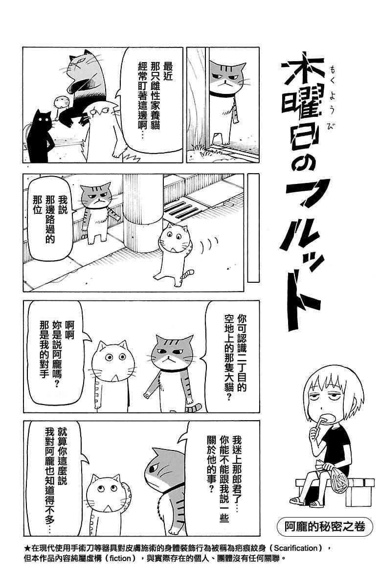 《我家的街猫》漫画最新章节第379话免费下拉式在线观看章节第【1】张图片