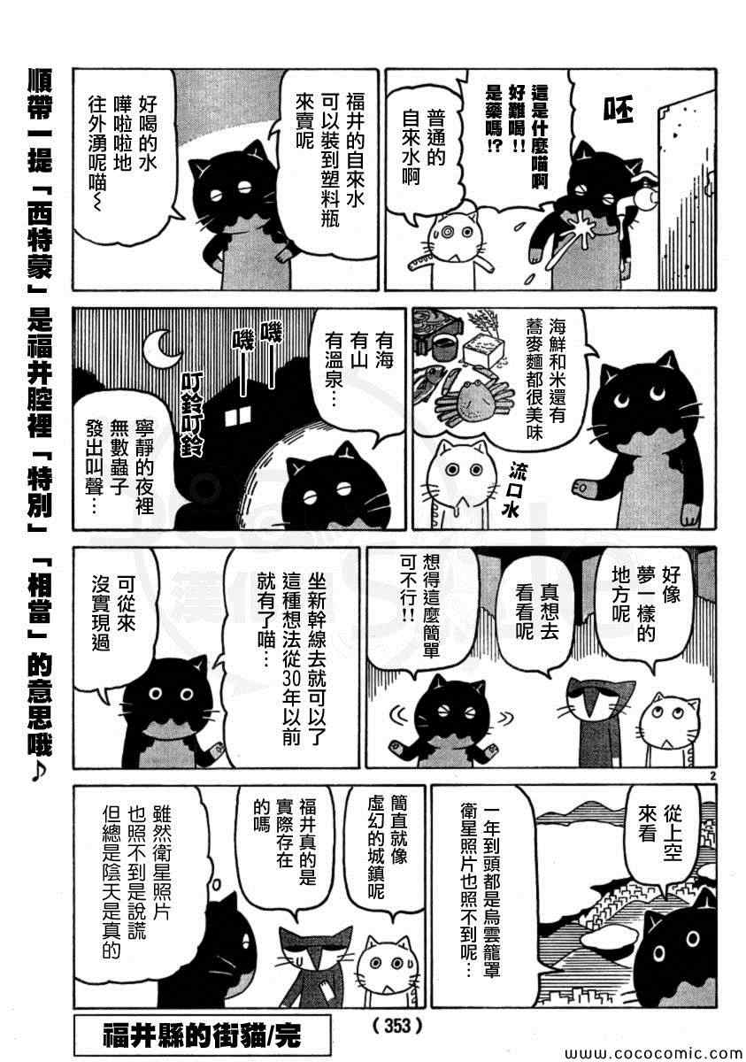 《我家的街猫》漫画最新章节弗罗多 217-239别册免费下拉式在线观看章节第【62】张图片