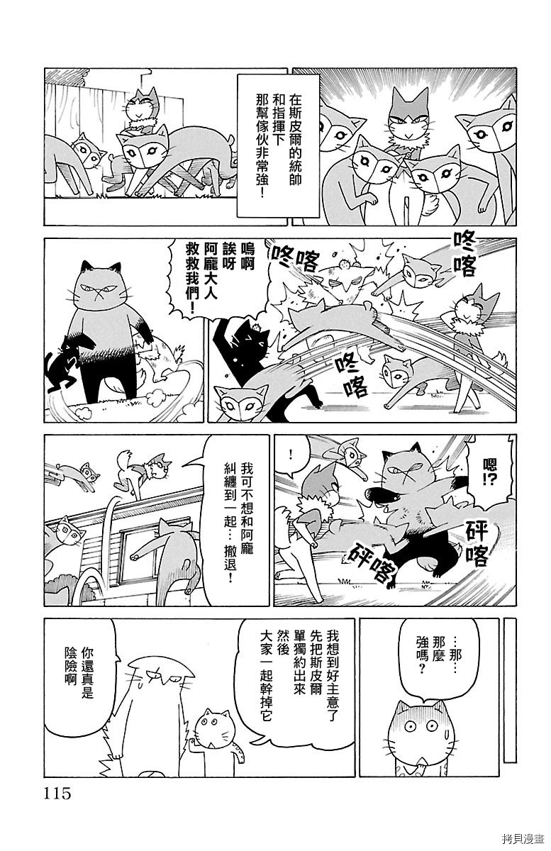 《我家的街猫》漫画最新章节第439话免费下拉式在线观看章节第【2】张图片