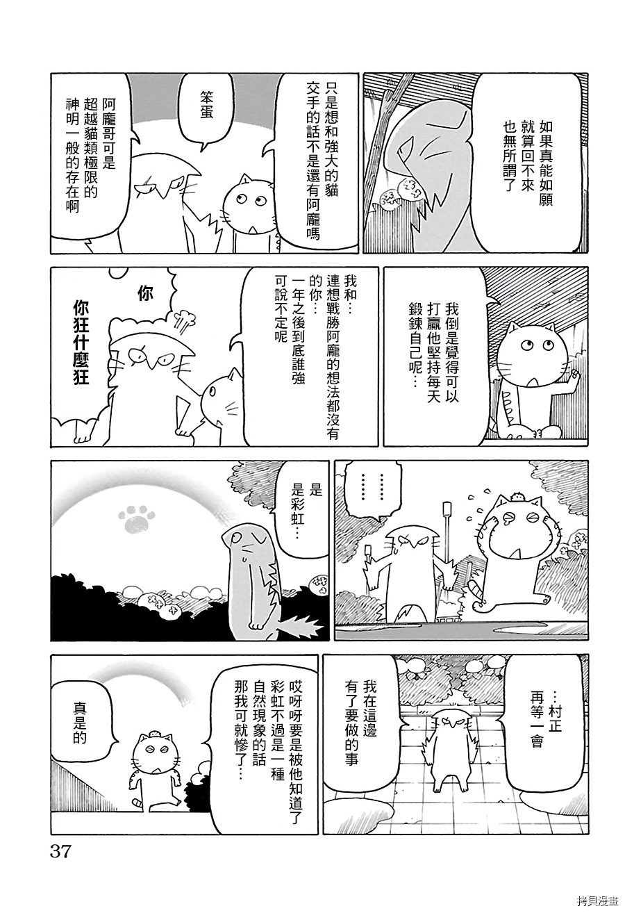 《我家的街猫》漫画最新章节别册75免费下拉式在线观看章节第【2】张图片