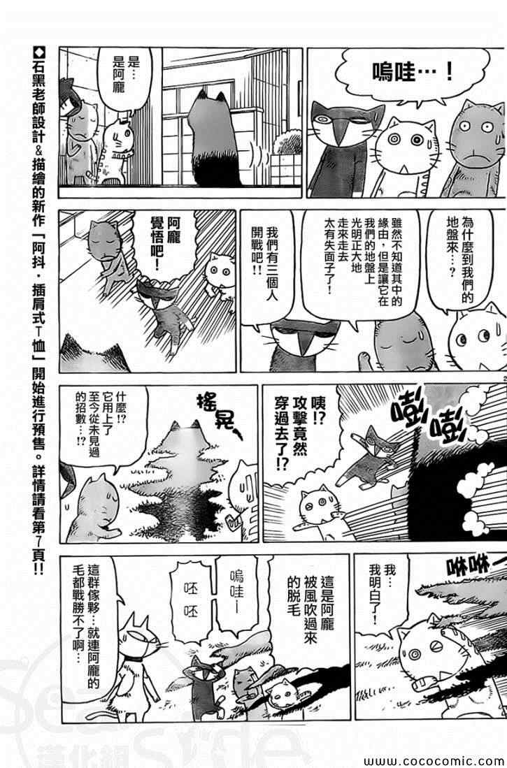 《我家的街猫》漫画最新章节第19话免费下拉式在线观看章节第【2】张图片