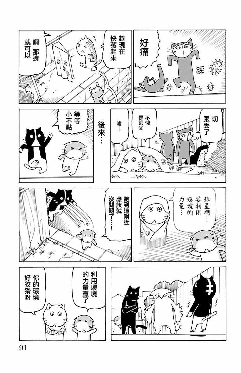 《我家的街猫》漫画最新章节第368话免费下拉式在线观看章节第【2】张图片