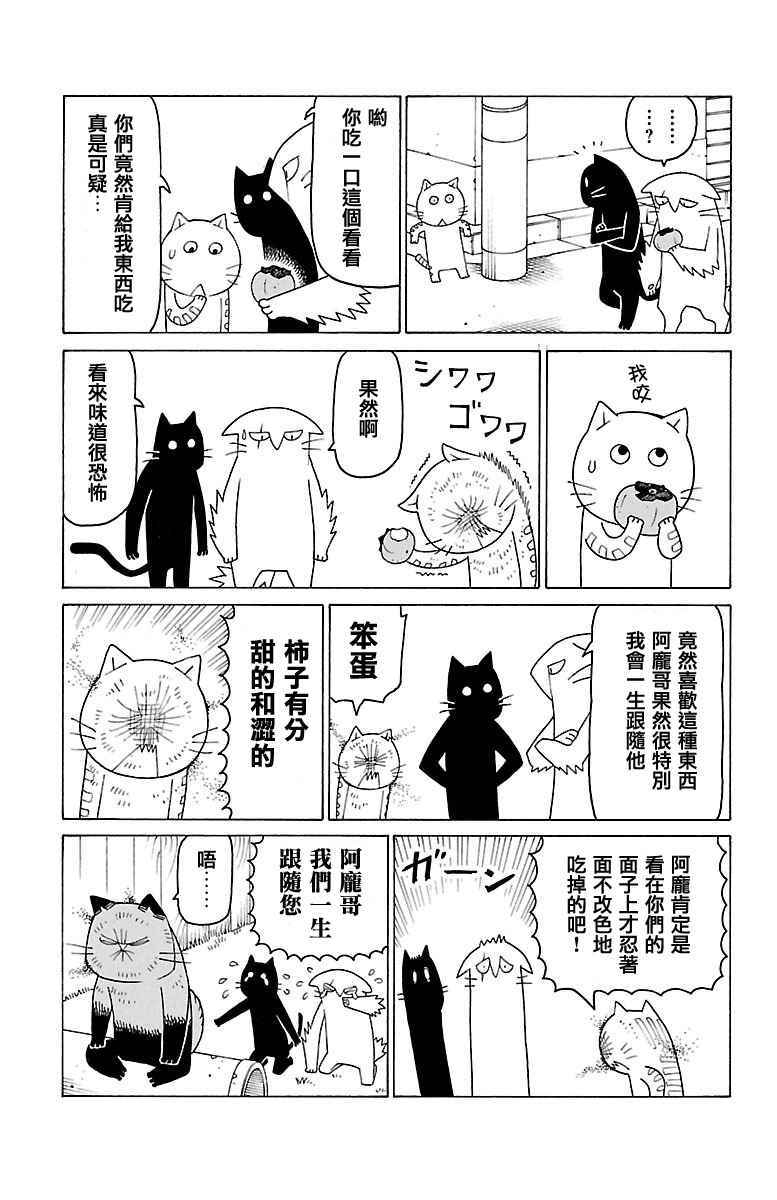 《我家的街猫》漫画最新章节第385话免费下拉式在线观看章节第【2】张图片