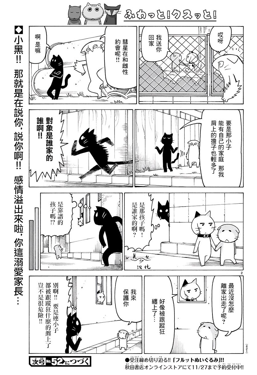 《我家的街猫》漫画最新章节第538话免费下拉式在线观看章节第【2】张图片