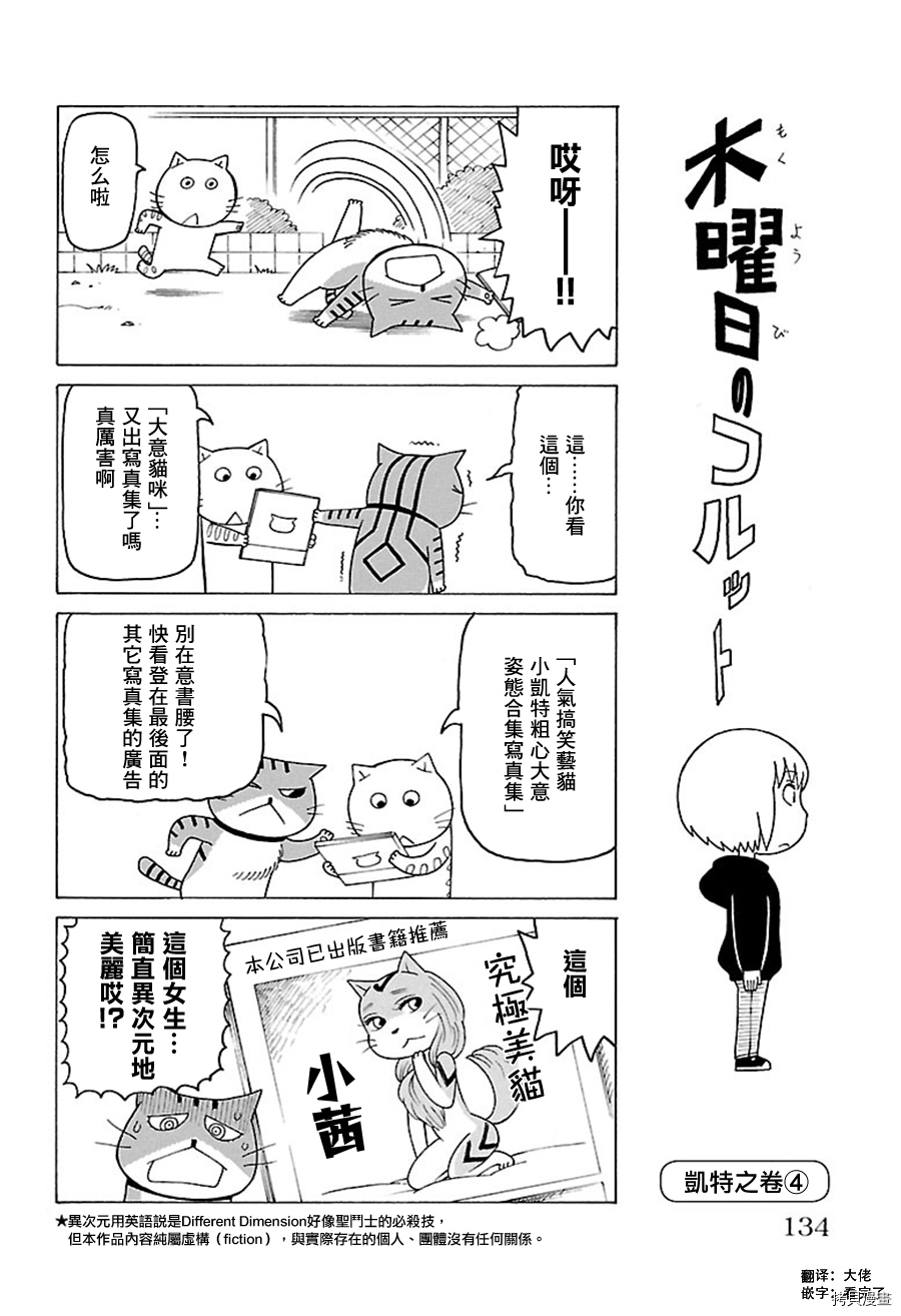 《我家的街猫》漫画最新章节第448话免费下拉式在线观看章节第【1】张图片