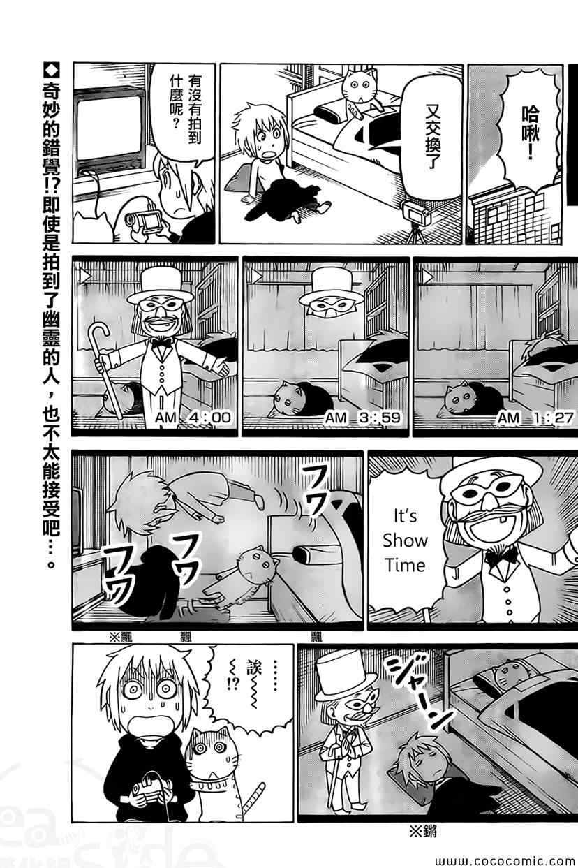 《我家的街猫》漫画最新章节第242话免费下拉式在线观看章节第【2】张图片