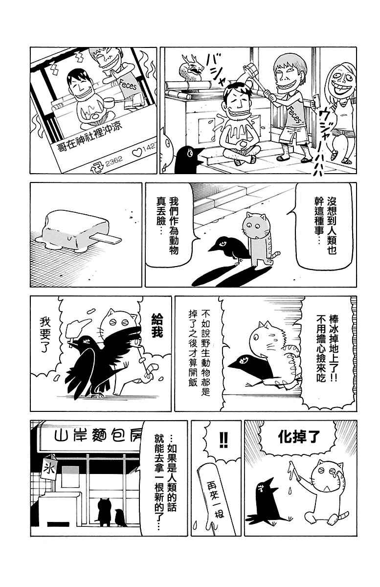 《我家的街猫》漫画最新章节第377话免费下拉式在线观看章节第【2】张图片