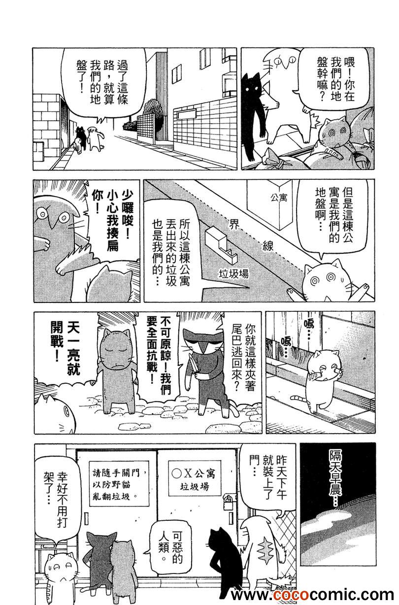 《我家的街猫》漫画最新章节第2卷免费下拉式在线观看章节第【31】张图片