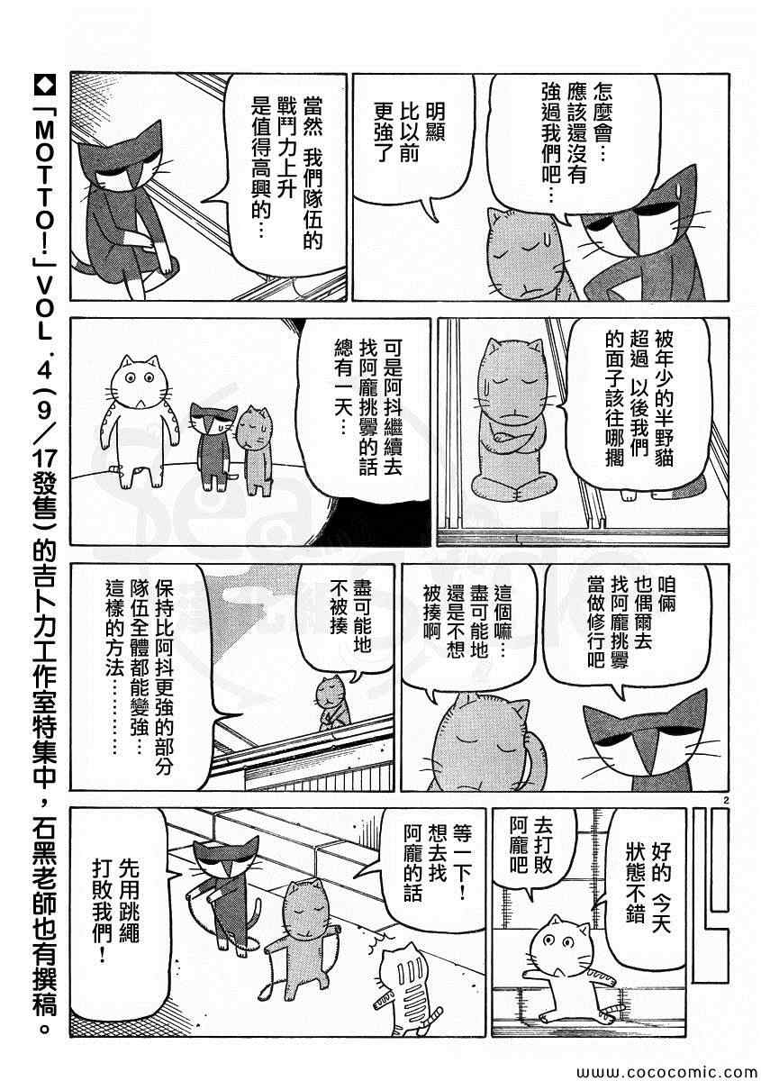 《我家的街猫》漫画最新章节弗罗多 217-239别册免费下拉式在线观看章节第【39】张图片